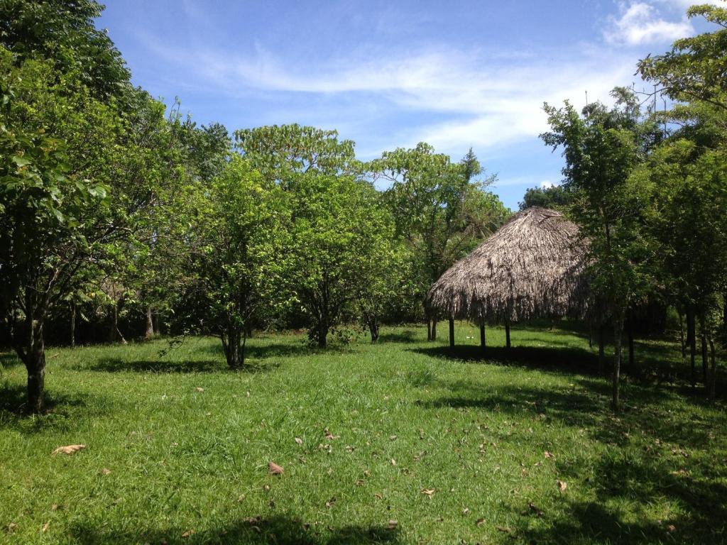 Villa El Colombre à Palenque Extérieur photo